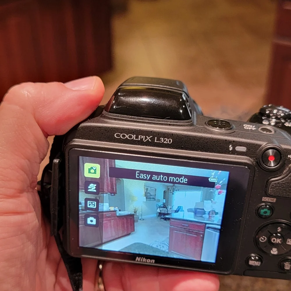 Nikon CoolPix L320 Digital Camera